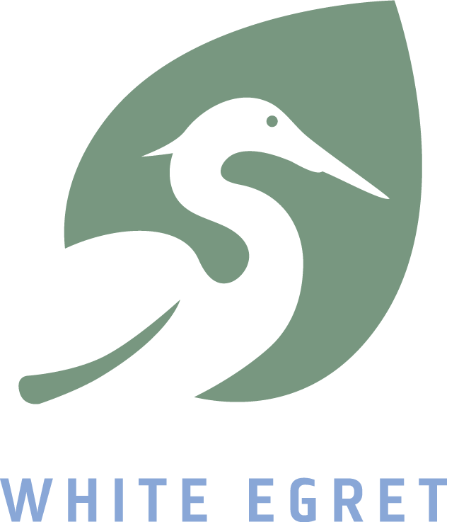 Why White Egret? The Story Behind Our Name & Logo
