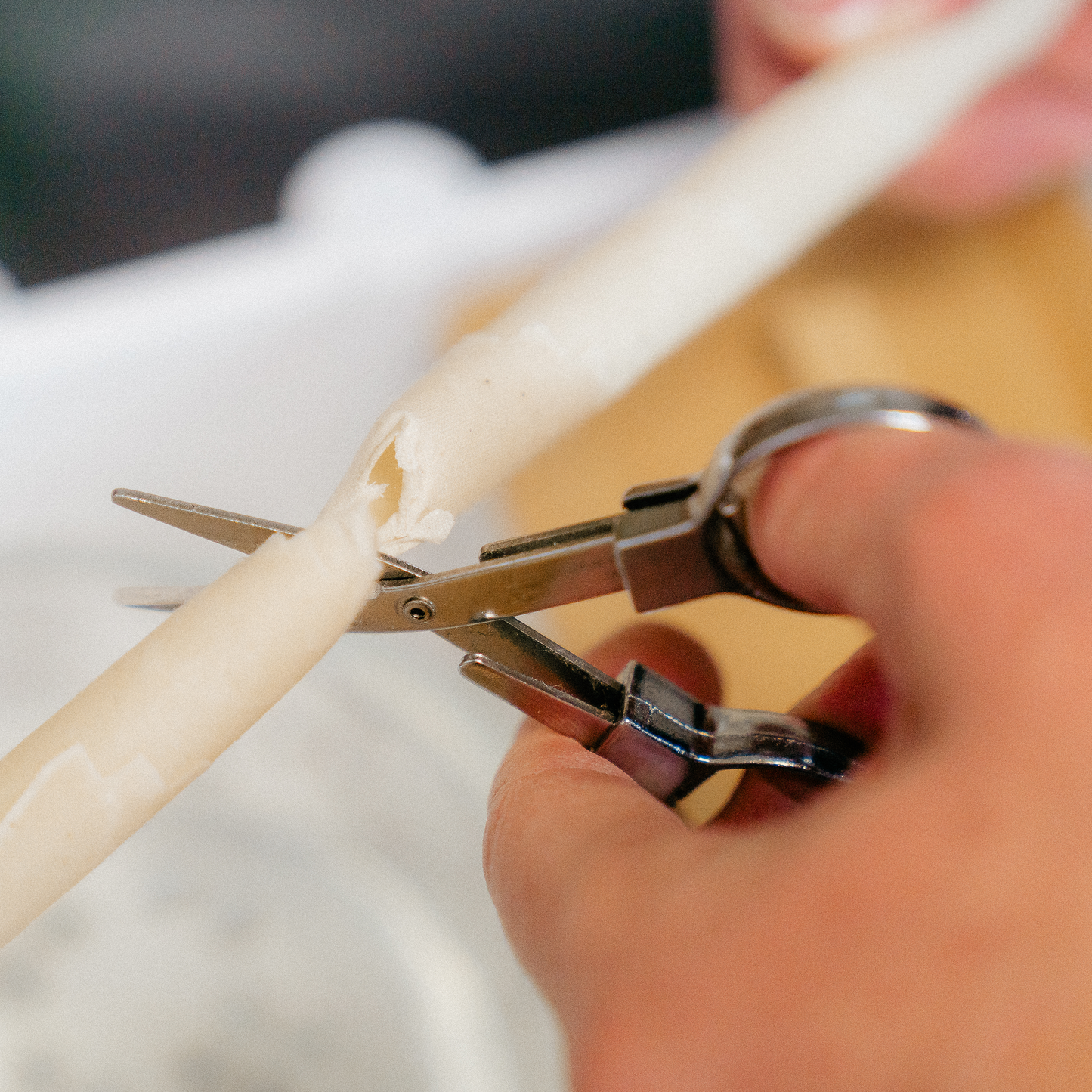 white egret scissors cutting through an ear candle